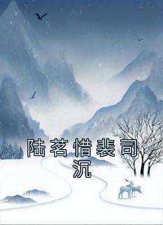 陆茗惜裴司沉